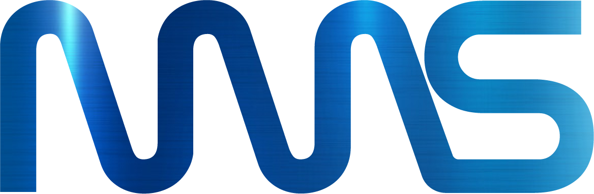 NMSware Technologies Logo