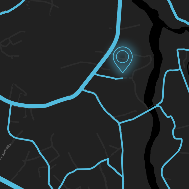 Google maps location