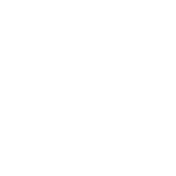 UI UX Designing